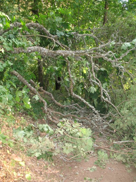 8.15.06 Angels Rest 027 